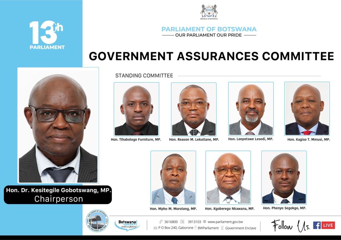 GOVERNMENT ASSURANCES COMMITTEE